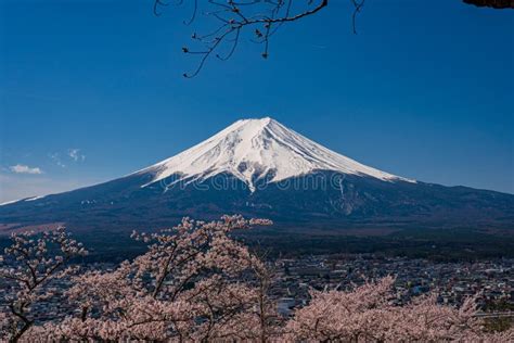 Mt Fuji In The Spring Time With Cherry Blossoms At Kawaguchiko