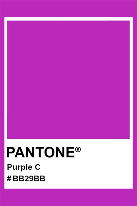 Dark To Light Purple Gradient Pantone Color Swatch Photographic Print