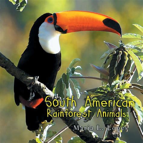 Known for their bright colours and loud screeches, scarlet macaws are iconic animals in the tropical forests of. South America Rainforest Animals by Maria L. Lopes, Paperback | Barnes & Noble®