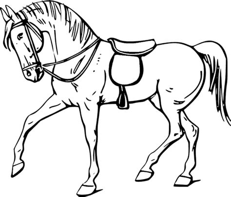 Total Imagem Desenhos De Cavalo Para Colorir E Imprimir Br Thptnganamst Edu Vn