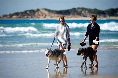 Domestic Animal Management Plan Surf Coast Shire