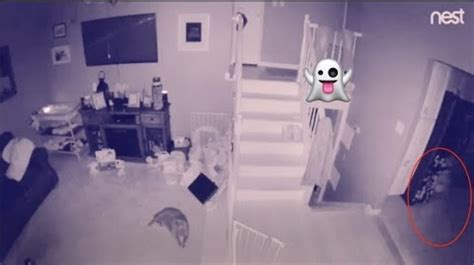 Did A Long Island Couple Catch Video Of A Ghost On Their Security Camera