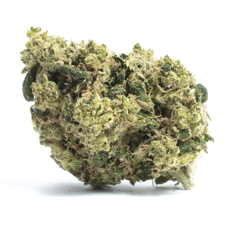 Sunshine Lemonade Marijuana Strain Information & Reviews | AllBud