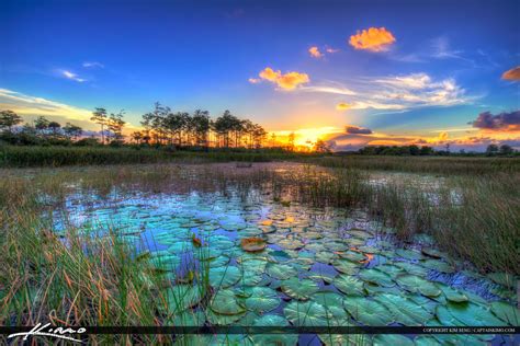 Sunset Wetlands Florida Landscape Palm Beach Gardens Hdr Photography