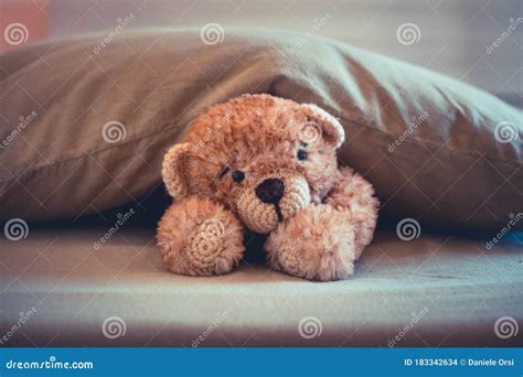Cute Wool Teddy Bear Is Lying In The Bed Stock Photo Image Of Bear