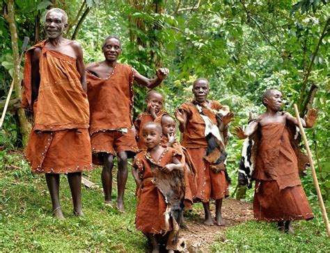 African Pygmy Tribes