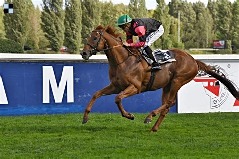 In times of tribulation only remains to remain serenity, only love takes the rise, relaxes and releases everything #galopp #hope #motherearth. Kůň roku Galopp News: Nejlepší mílař 2018 | GALOPP REPORTER