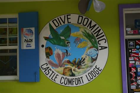 Dive Dominica Roseau 2019 All You Need To Know Before You Go With