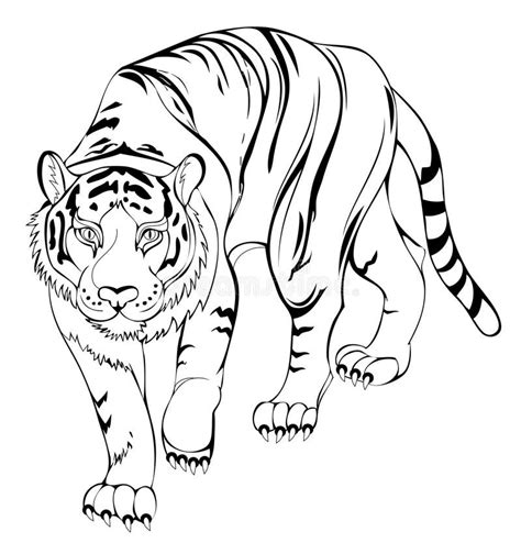 Tigre Da Stampare Disegno Da Colorare Tigre Disegni Da Colorare E