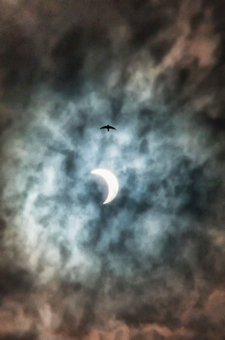 Bird And Eclipse Pentax User Photo Gallery