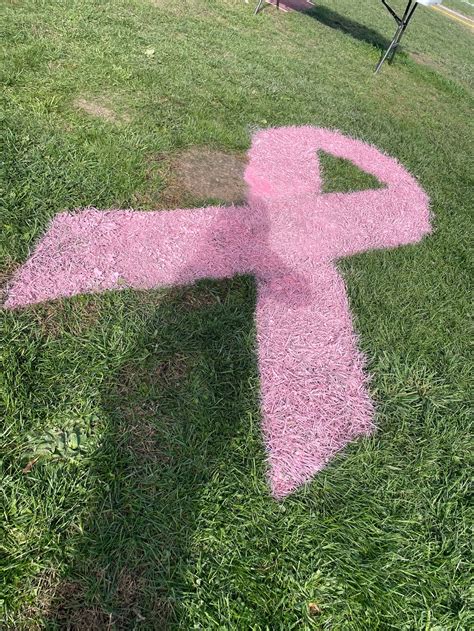 2 | Carbondale Area School District