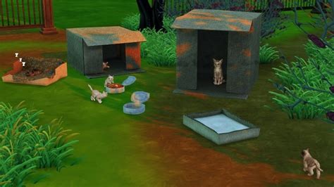 Homeless Pet Set By Thiago Mitchell At Redheadsims Sims 4 Updates