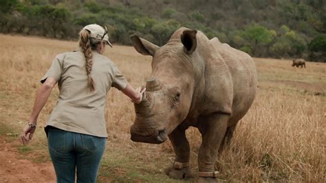 Save This Rhino Trailer Youtube