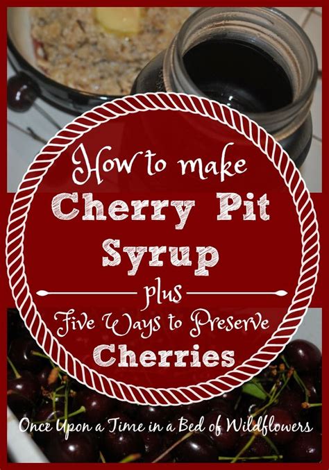 Cherry Pit Syrup Plus 5 Ways To Preserve Cherries Cherry Recipes Fruit