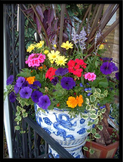 Container Gardens Container Gardening Photo 22146334 Fanpop