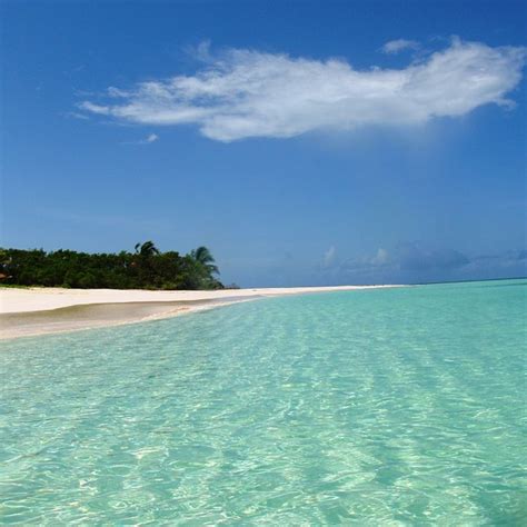 Pink Sand Beach Barbuda 2022 Lohnt Es Sich Mit Fotos