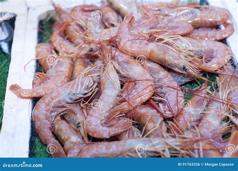 Shrimp In Fish Market Stock Photo Image Of Uncooked 91763326