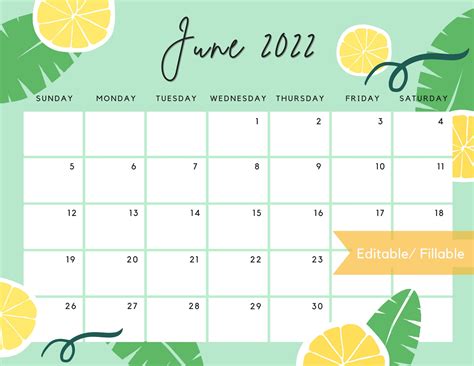 June 2022 Calendar Cute Summer Printable Calendar Editable Etsy Ireland