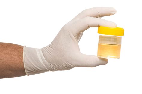 Walmart doesn't sell synthetic urine. How To Choose The Best Synthetic Urine? - Teeth bleaching ...