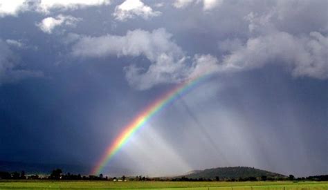 Saint Martins Rainbow Tableau Of The Universal Relationships Rose