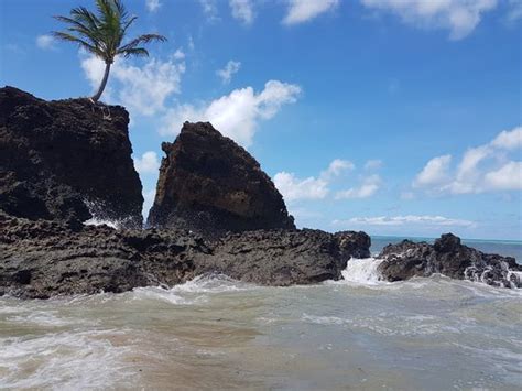 The Best Naturist Beach In Brazil Review Of Praia De Tambaba Conde Brazil Tripadvisor