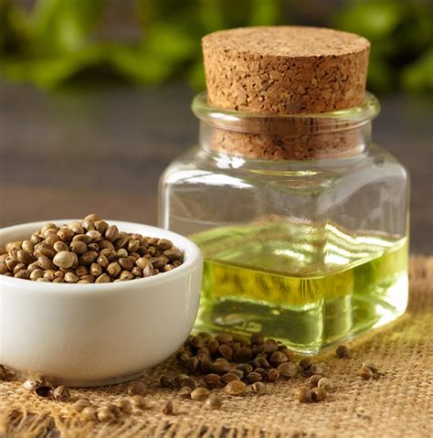 Hemp Seed Oil Benefits, Side Effects - Mr Supplement Australia