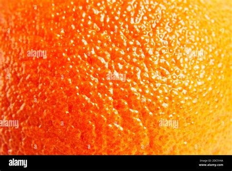Mandarin Mandarine Tangerine Orange Skin Texture Close Up Details