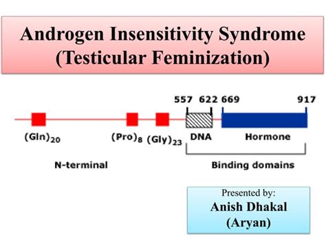Androgen Insensitivity Syndrome Ais Explained Ppt