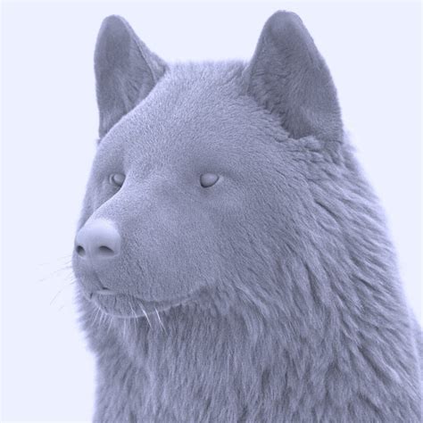 Wolfs Portrait Massimo Righi
