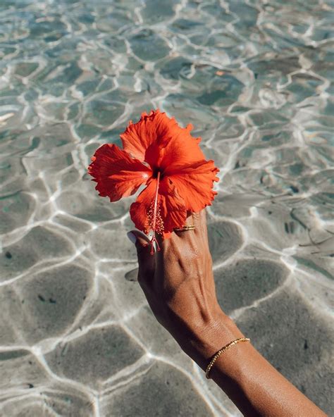 Style Australia And Travel On Instagram ““bloom Beautifully Dangerously