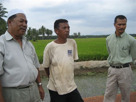 Anim Agro Technology Sawah Padi Di Muarledang