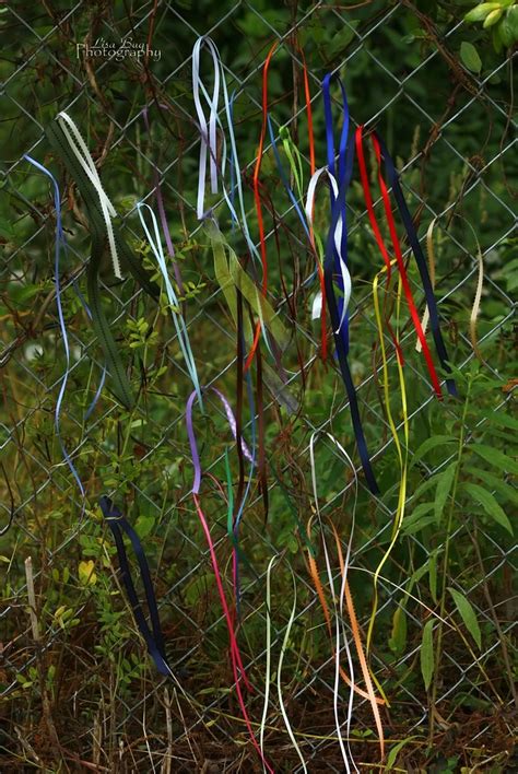 Color of the sputum color of the sputum depends on its character, and also by inspirited particles. LUNG CANCER RIBBON COLOR | LUNG CANCER RIBBON COLOR