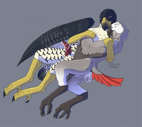 Rule 34 African Grey After Sex Avian Beak Bird Claws Cuddling Cum Cum