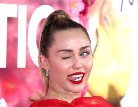 Miley Cyrus From Stars Not Defined By Their Sexuality E News