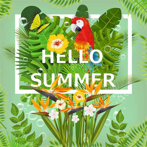 Summer Background With Tropical Plants And Flowers For Typographical
