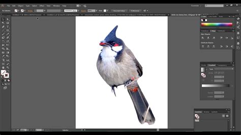 Remove Background From An Image Using Illustrator Youtube