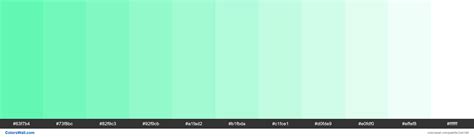 Light Greenish Blue Colors Palette Colorswall