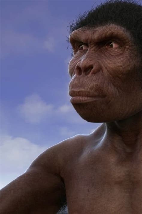 Evolution From Ape To Man 2017 Posters — The Movie Database Tmdb