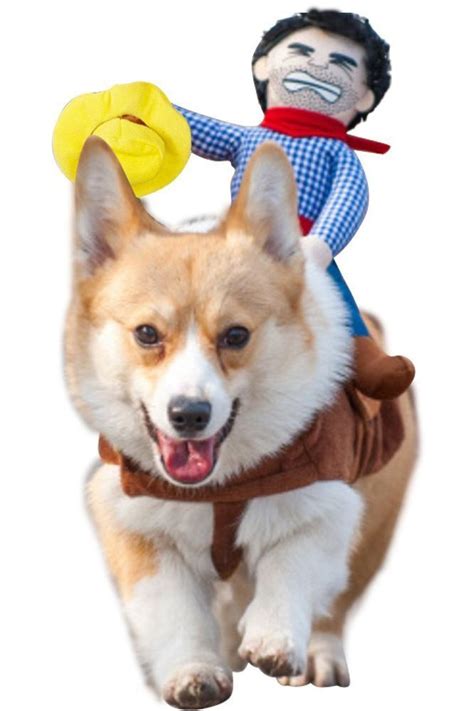 Cutest Dog Halloween Costumes Cuteanimals