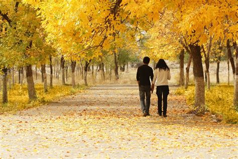 Young Couple Walking Together In Autumn Stock Photo By ©chepko 5646643