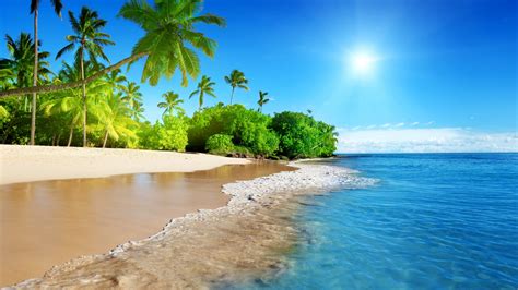 Download Wallpaper 2560x1440 Tropical Beach Sea Calm Sunny Day