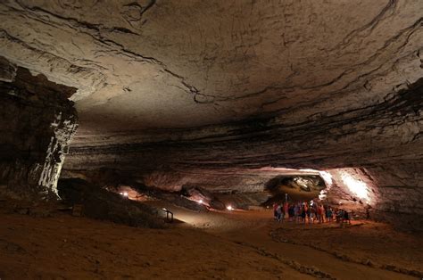 Mammoth Cave Area Br Usa Cavemab