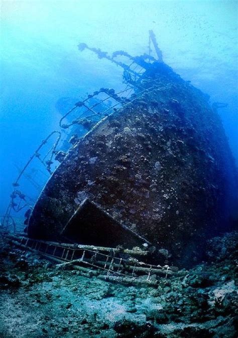 Pin By Lipsbusy On Shipwreck Abandoned Ships Underwater World