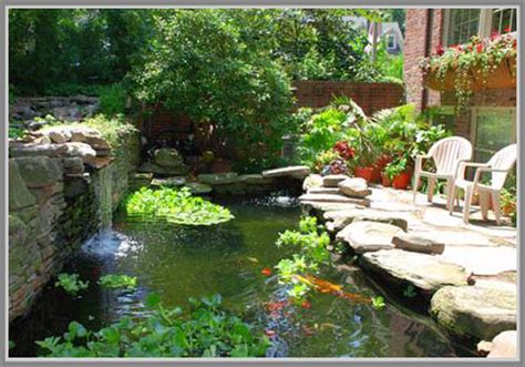 Cat kolam renang ikan koi anti bocor merk bless 1liter: Warna Cat Untuk Kolam Ikan Koi - Tentang Kolam Kandang Ternak