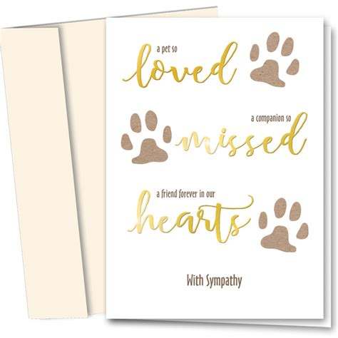 Premium Foil Pet Sympathy Cards Gold Letters Veterinary Supplies