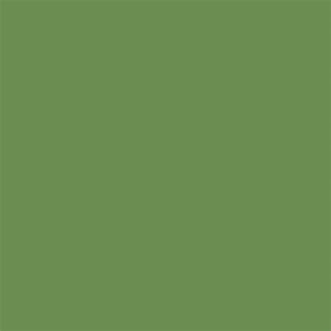 Forest Green Pantone Colors