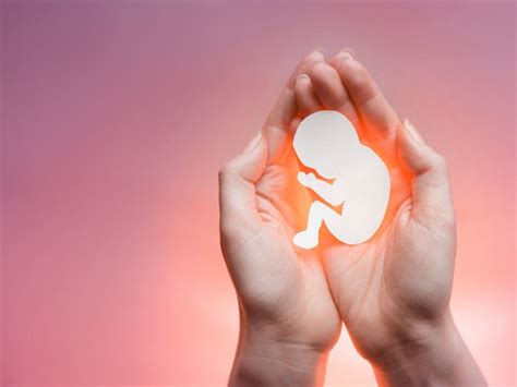 تعرفي في هذا المقال على أعراض الإجهاض وأسبابه لتجنبها، والإجراءات الصحية الواجبة عند حدوثه لا قدر الله. علامات الإجهاض في الشهر الأول | نواعم