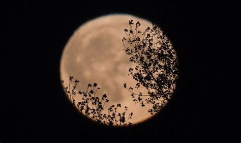 August Full Moon Tonight How To See Tonights Full Moon Science