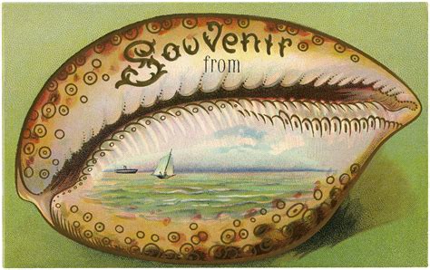 7 Souvenir Seashell Clipart Clip Art Pictures Vintage