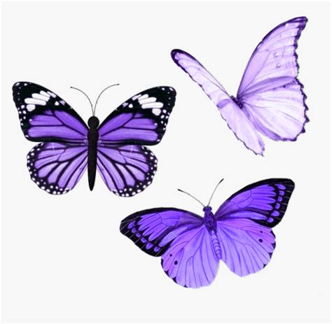 Purple Tumblr Stickers Cute Wallpapers Aesthetic Stic